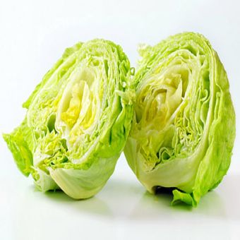 ICEBERG LETTUCE-(9-12 PICS)03